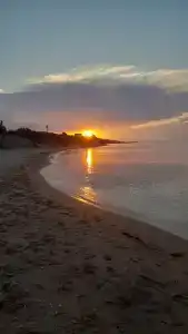 Белый Лотос - 57