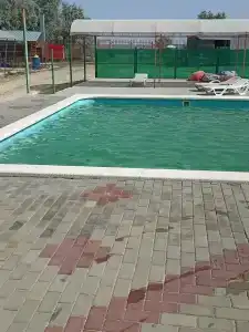 Лотос - 25