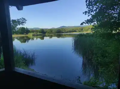 Скелепарк - 49