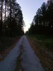 Троллейбусник - 3