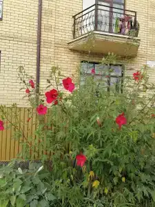 Южная Ночь - 22