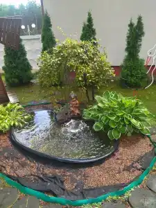 Энергетик - 24