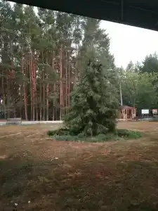 Алатырь - 50
