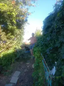 Замок грез - 84