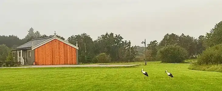 Новое Волосово - 74