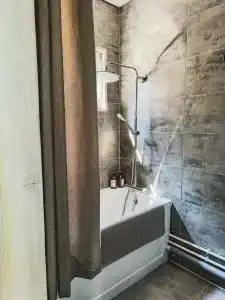 Сосна - 12