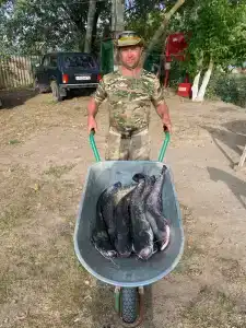 Раскаты - 12