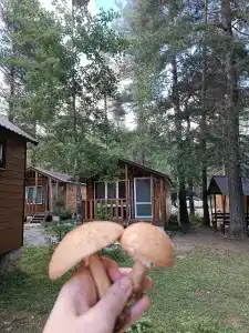 TAU HOUSE - 3