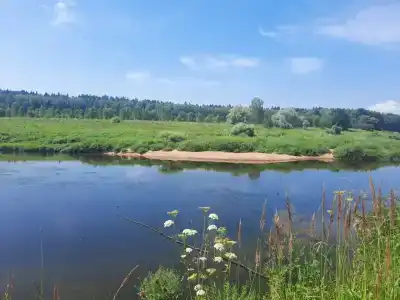 Гнездо - 34