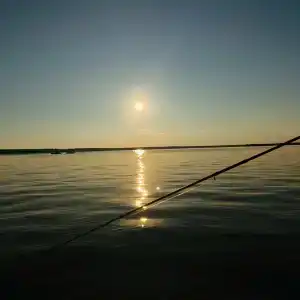 Мантиансаари - 77