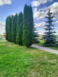 Серебряный ключ - 20