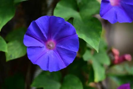 Dalat Cadasa Resort - 35