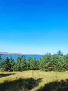 Ромашка - 64