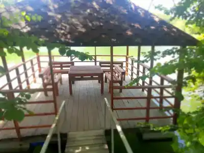 Родное - 17