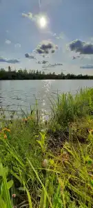 Сендега - 27