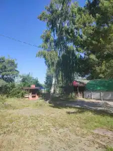 Акуля - 2