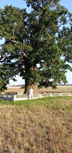 Несвижская - 8