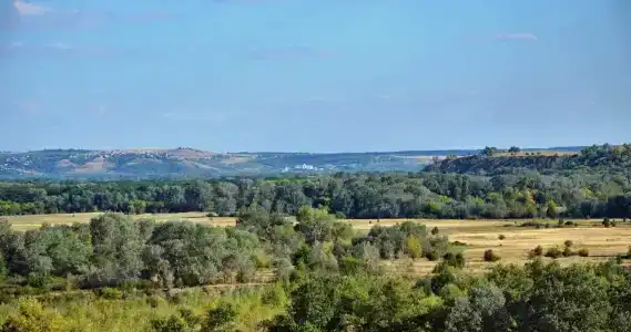 Дары Дона - 46