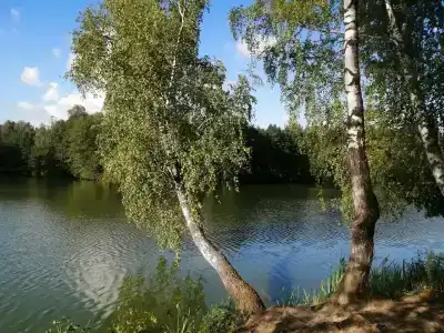 Москвич - 13