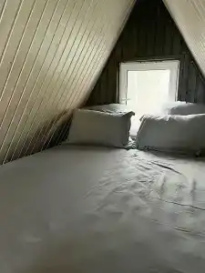 Орехово Лес - 72