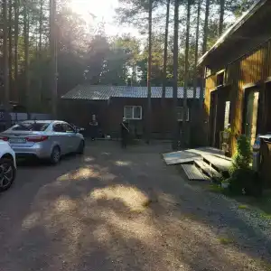 Сосновый двор - 0