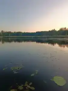 Подворье - 97