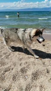 Порт Ольхон - 60