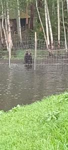 Питкяранта - 34