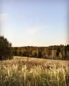 Вечера в Подмосковье - 44