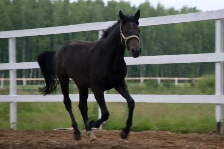 Замок La Ferme de Reve - 73