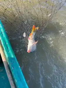 Рыбацкий приют - 26
