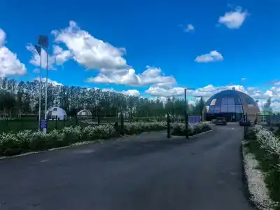 Ферма-Цыпа's - 74