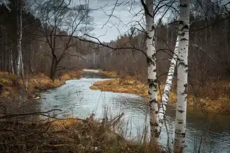 Гостевой дом на Орловской - 11