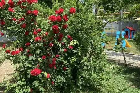 АзовХолидей - 13