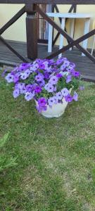 Гостевой дом Элиза Заркау - 41