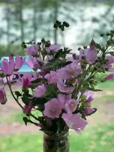 Новый Горизонт - 13