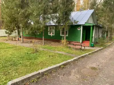 Сосновый берег - 83