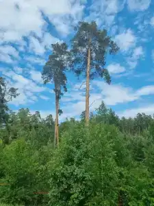 Солнышко - 19