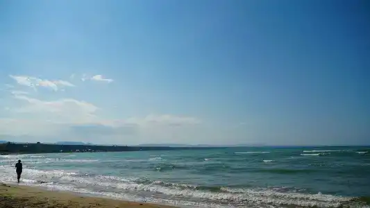 Солнечный пляж - 77