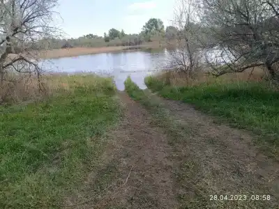 Замьяны-77 - 31