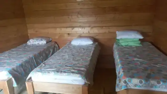 Тандак - 31