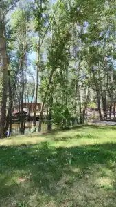 Жемчужина - 41