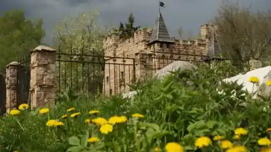 Рузмарин - 1