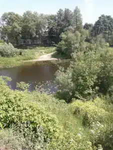 Эффект - 2