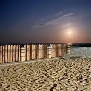 Ракушка - 19