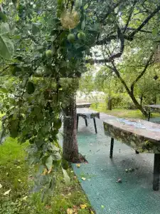 КартошКино - 35