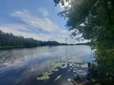 Васильево - 20