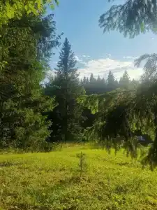 Хутор Нестора - 26