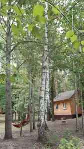 Атлашкино - 11
