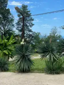 Горный рай - 22